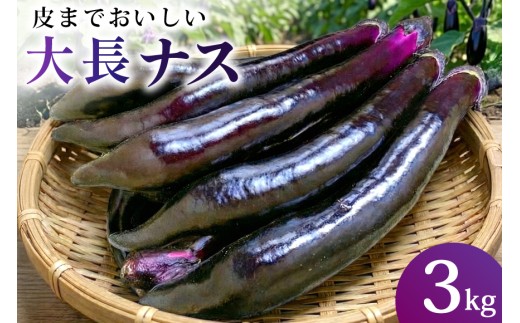 BF004【令和8年度出荷分】皮までおいしい！島原 大長ナス 5kg [ なす