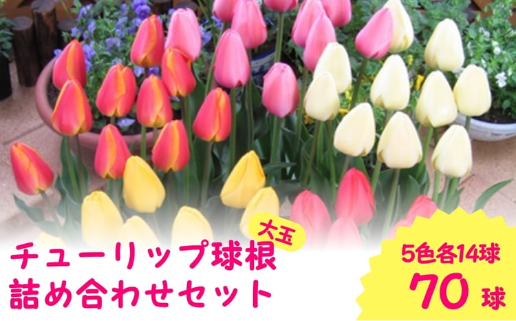 sd1_9b452ae414aeab3a87616b8af6