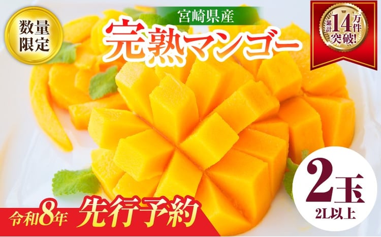 リピーター続出!!宮崎県産 完熟 マンゴー 2L以上×2玉 令和8年発送分