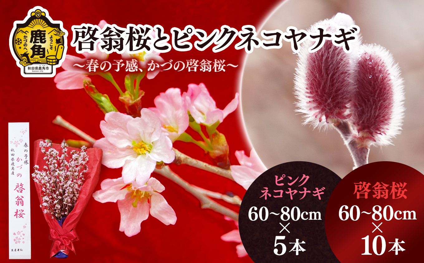 啓翁桜とピンクネコヤナギセット（60～80cm×10本／60～80cm×5本