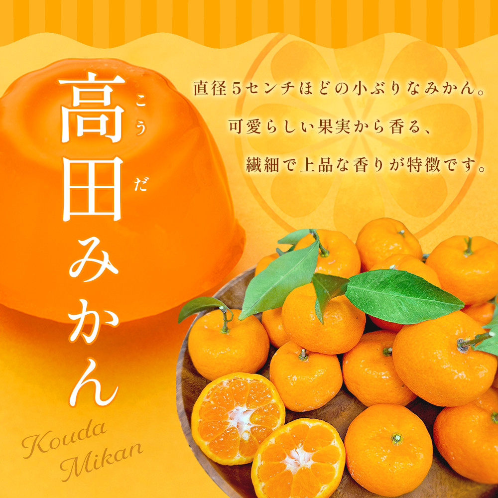 高田みかんゼリー 8個入 - 熊本県八代市｜ふるさとチョイス - ふるさと