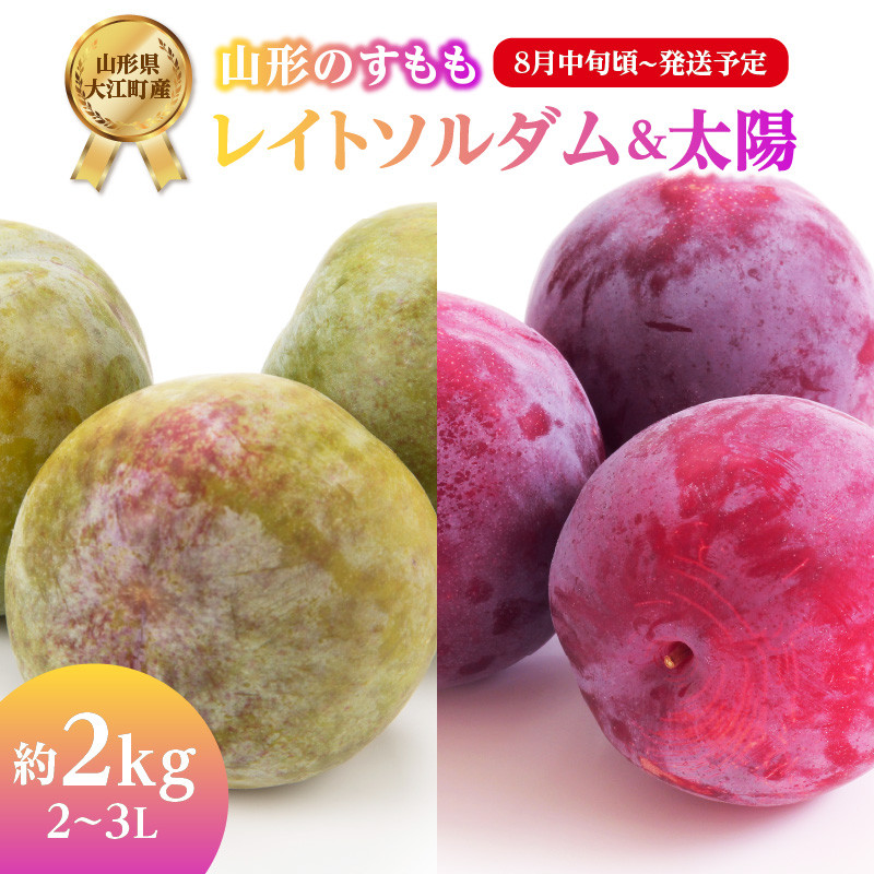 先行受付》すもも「レイトソルダム」「太陽」約2kg 2～3L【2026年8月