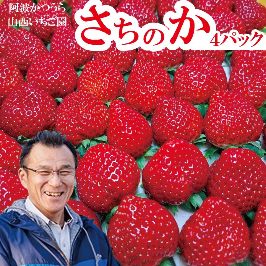 山西いちご園 さちのか 4P - 徳島県勝浦町｜ふるさとチョイス