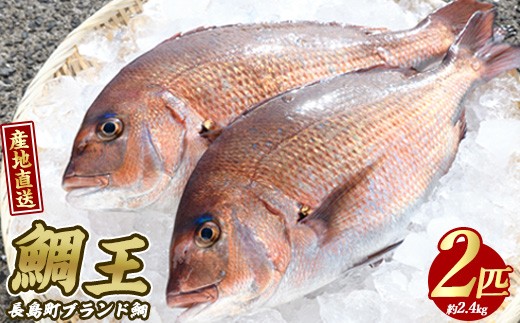 長島町特産「鯛王」(2匹・約2.4kg) 産地直送 新鮮 旨味が抜群の 長島町