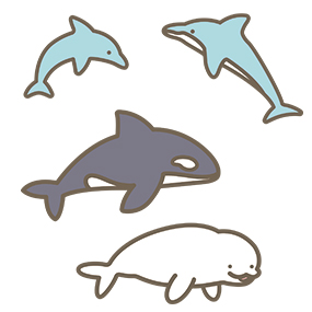イルカ、シャチのイラスト🎨【フリー素材】｜看護roo![カンゴルー]
