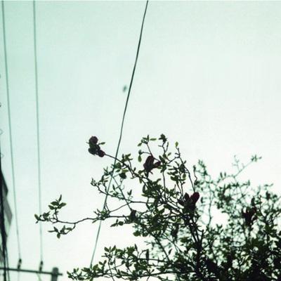 待ちくたびれて朝がくる : クリープハイプ | HMV&BOOKS online - PRM-8