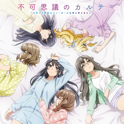 不可思議のカルテ : 青春ブタ野郎シリーズ | HMV&BOOKS online - SVWC