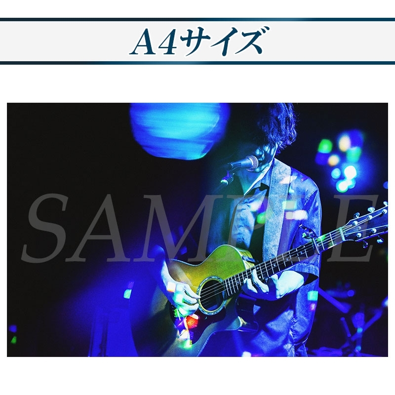 Studio Live木製パネル [02] A4サイズ(M) : TK from 凛として時雨