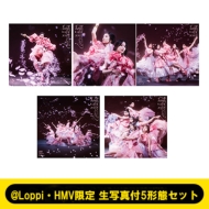 櫻坂46 8thシングル『何歳の頃に戻りたいのか？』2024年2月21日発売