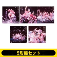 櫻坂46 8thシングル『何歳の頃に戻りたいのか？』2024年2月21日発売