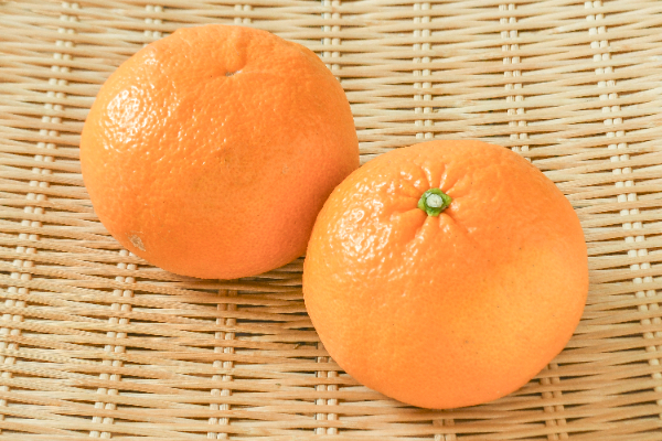 ゴールドナゲットオレンジ 【業務用食材の仕入れなら八面六臂】