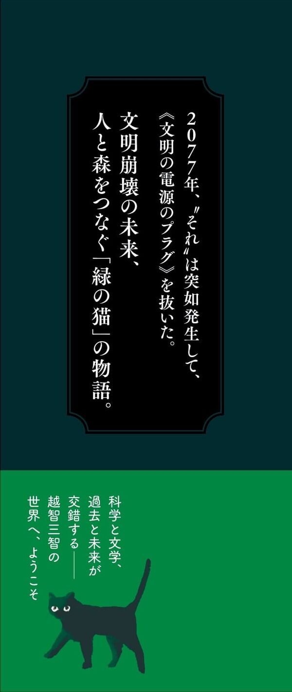 シュレディンガーと呼ばれた緑の猫 越智 三智(著) - エヌ・ティー
