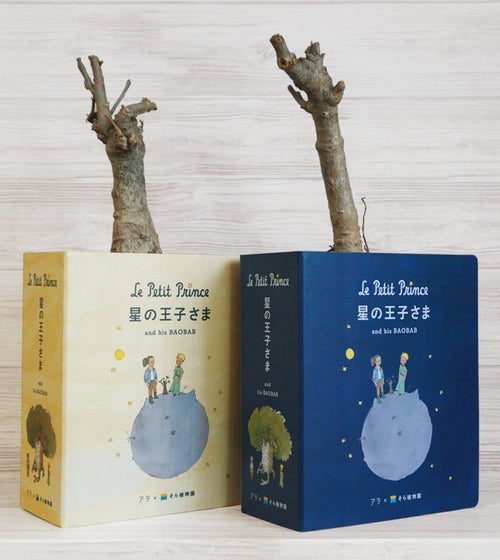 星の王子さま」と西畠清順さんがコラボしたバオバブの苗木が販売中止