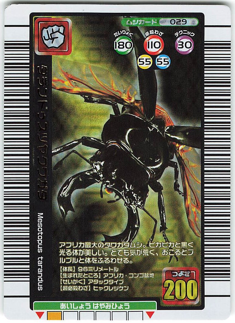 ムシキング FG DB バトラーズターミナル タランドゥス 他 甲虫王者