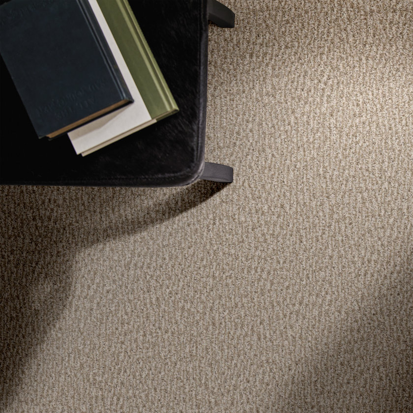 Fur-Ever - 100% ANSO® High Performance Nylon in Birch | AndersonTuftex