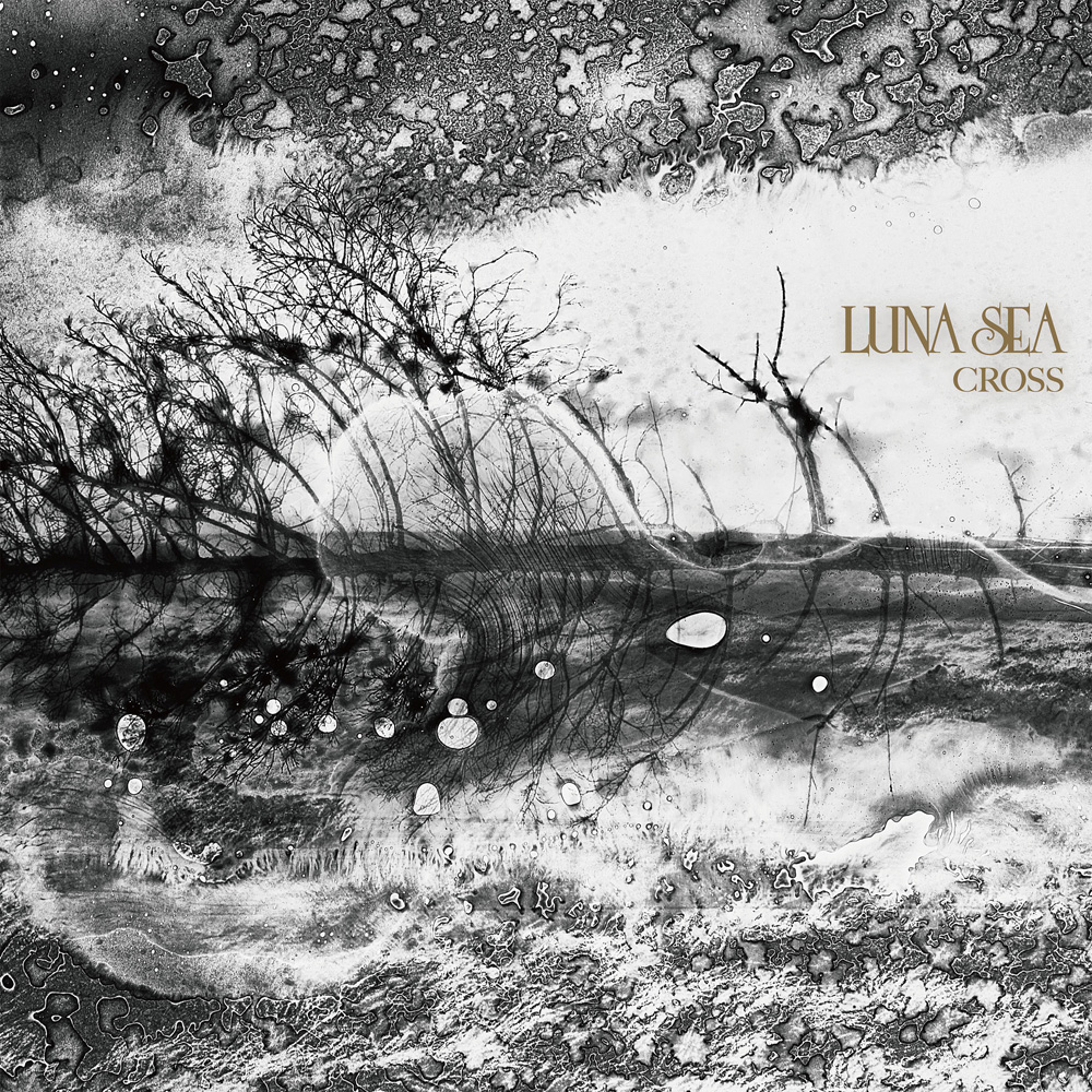 ガンダム40周年] 「MG LUNA SEA専用ザクII」が付属！CD「THE BEYOND