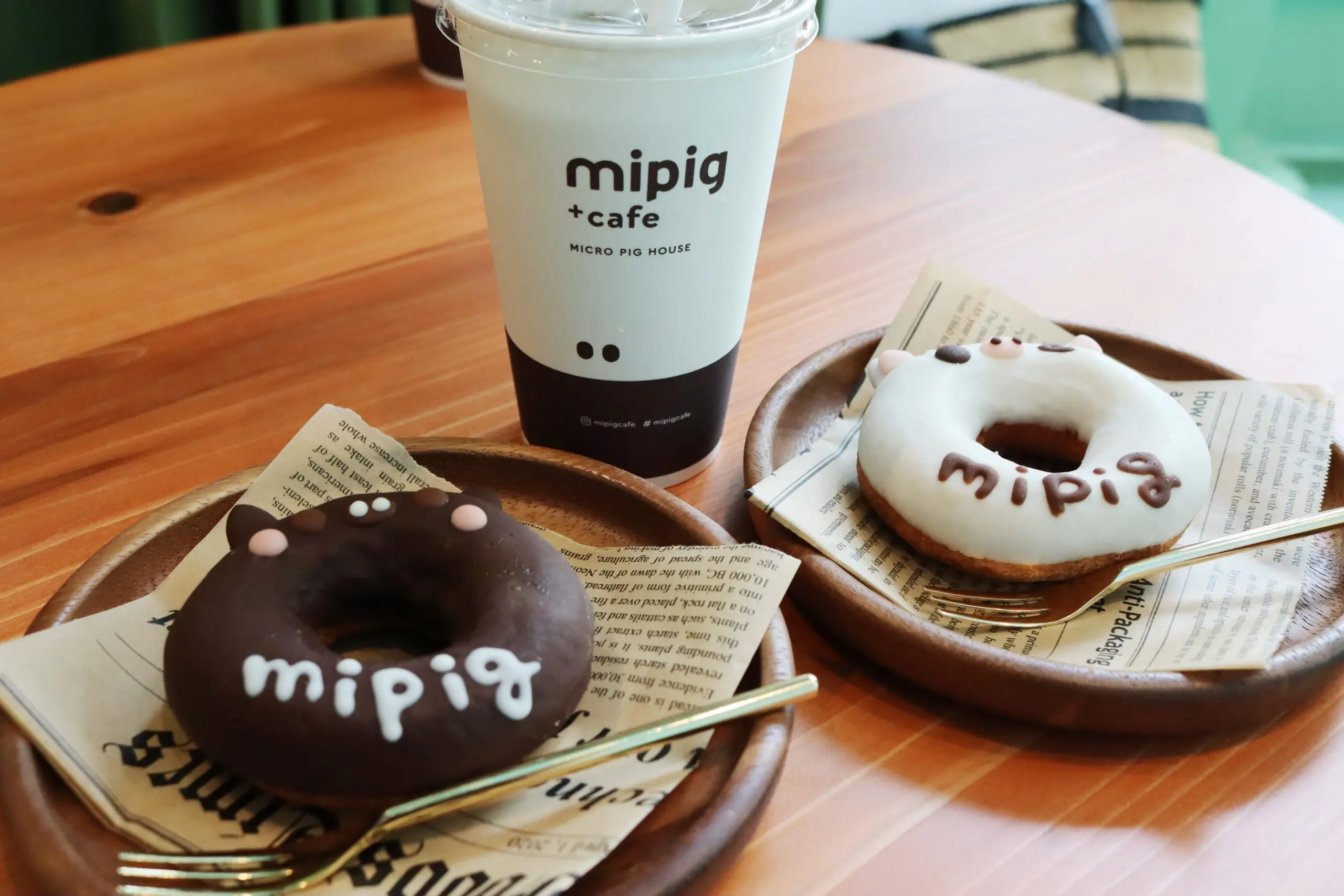 心斎橋】可愛さに夢中！マイクロブタと触れ合える『mipig cafe』関西初