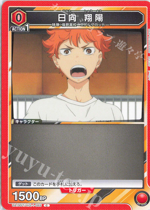 日向翔陽 ユニオンレア ur winner PSA10 連番 【公式通販】