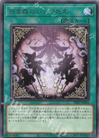 INFO] デッキ紹介【白き森】 | トレカの買取・通販ならカードショップ