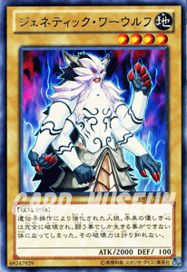 遊戯王 ジェネティック・ワーウルフ 【レア】 デュエリスト