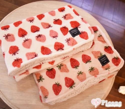 プチプラ☆いちご柄ブランケット - ドッググッズ 通販/販売 プードル