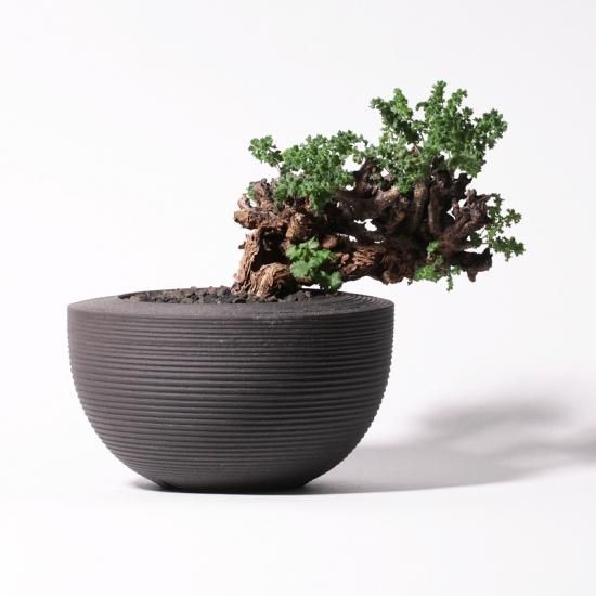 多肉植物,観葉植物,サボテン,を仕立てる鉢の専門店 konect.tokyo
