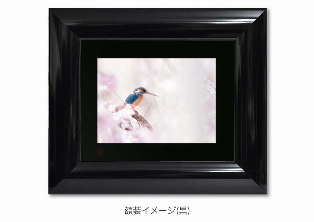 山地司、【白つめ草】、希少な額装用画集より、状態良好、新品額装付