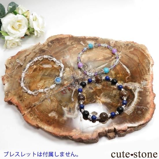 ペトリファイドウッド（珪化木）のスライス No.8 - cute stone -