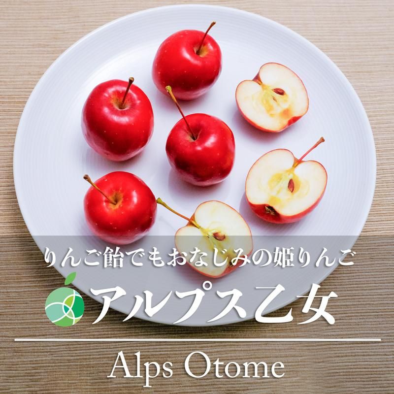アルプス乙女 姫りんご 家庭用 約3kg 45-120玉 長野県産 調理用 製菓用