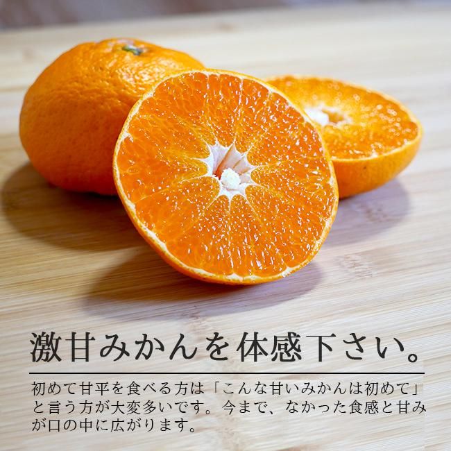 甘平(かんぺい)(訳あり)お取り寄せ(通販)農家直送 送料無料