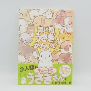 うさぎ雑貨店 Rebekka