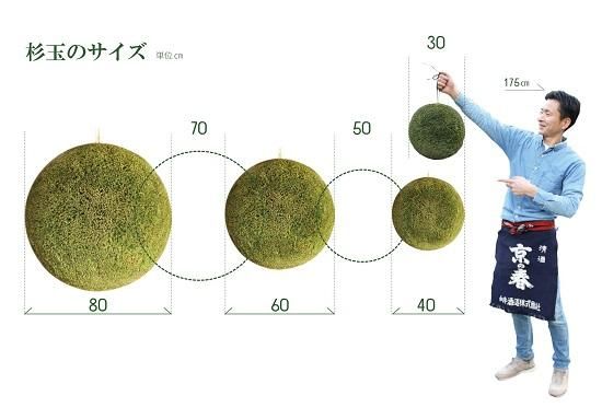 杉玉・直径40cm - 杉玉の高林 オンラインストア