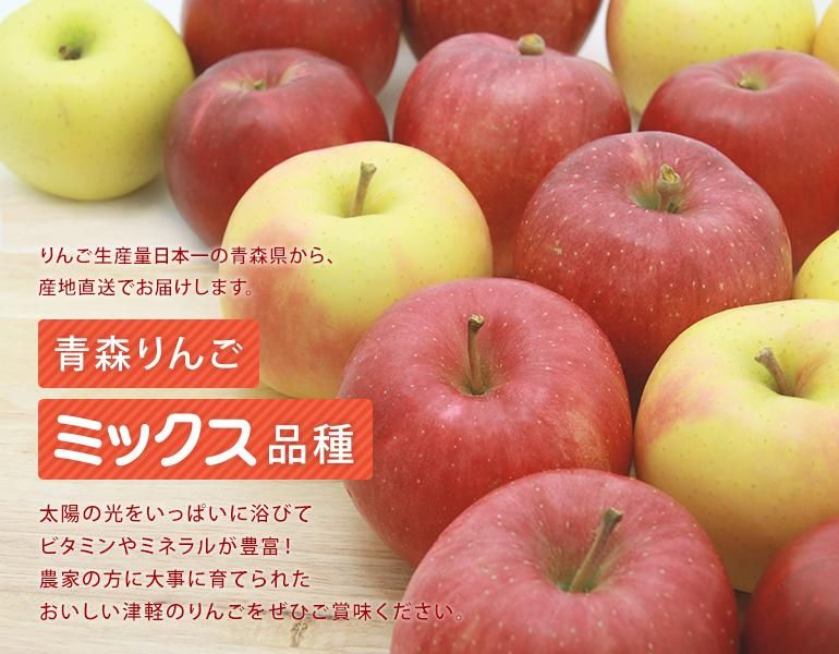 予約受付中：発送9月以降]産地直送！新鮮な青森県産りんご 混合