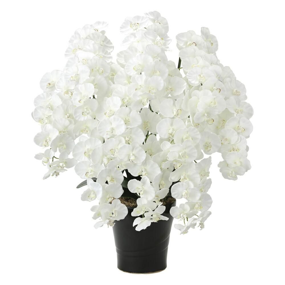 アートフラワー プレミアム胡蝶蘭10本立W インテリア 鉢植え 造花
