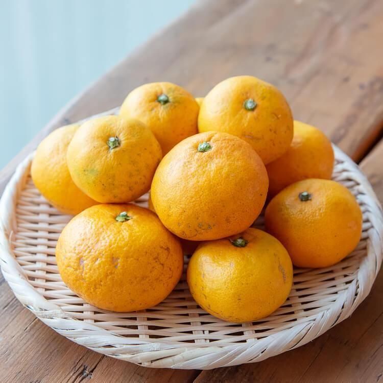 お祝い蜜柑園 HIROSEのみかん (農薬・化学肥料不使用栽培) 1kg - 自然