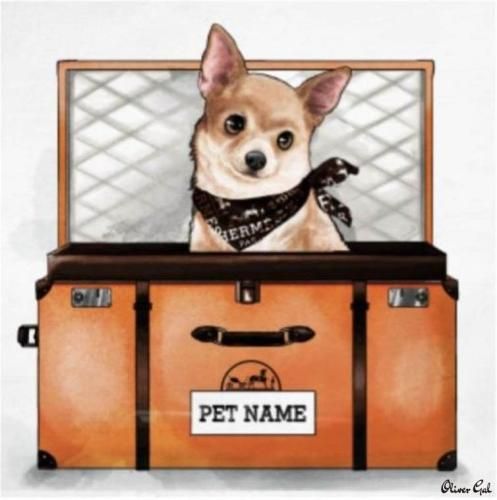 CUSTOM PET PORTRAITS（世界で一つだけのアートを♪） - Oliver Gal