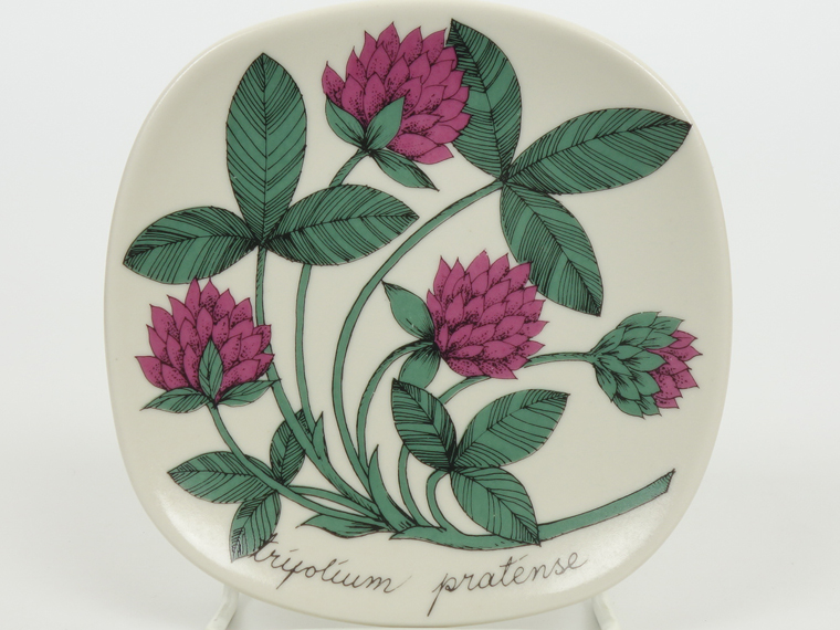 ARABIA/アラビア Botanica/ボタニカ trifolium pratense