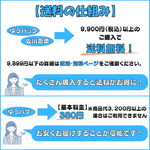 50％引き） サッカー日本代表 レア下敷き 1993年版 | ボール
