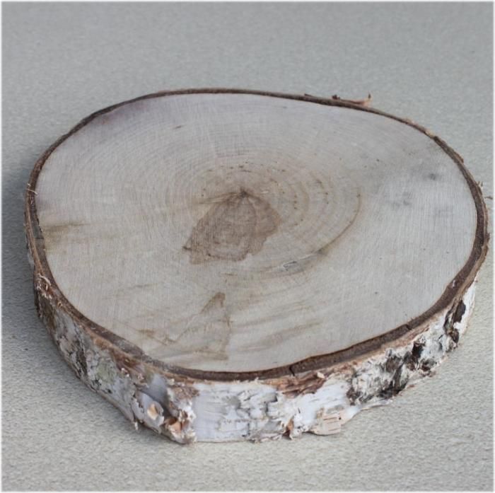 木の年輪板 白樺 樹皮つき mサイズ（130～180mm）