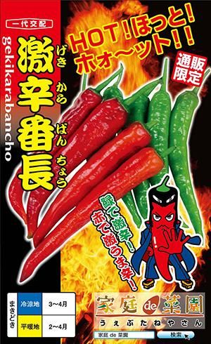 激辛番長とうがらし - 家庭de菜園～うぇぶたねやさん～