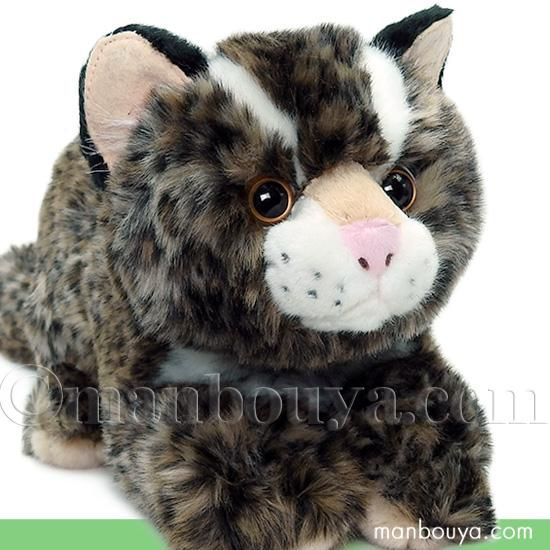 イリオモテヤマネコ ぬいぐるみ 沖縄 お土産 雑貨 キュート販売 CUTE