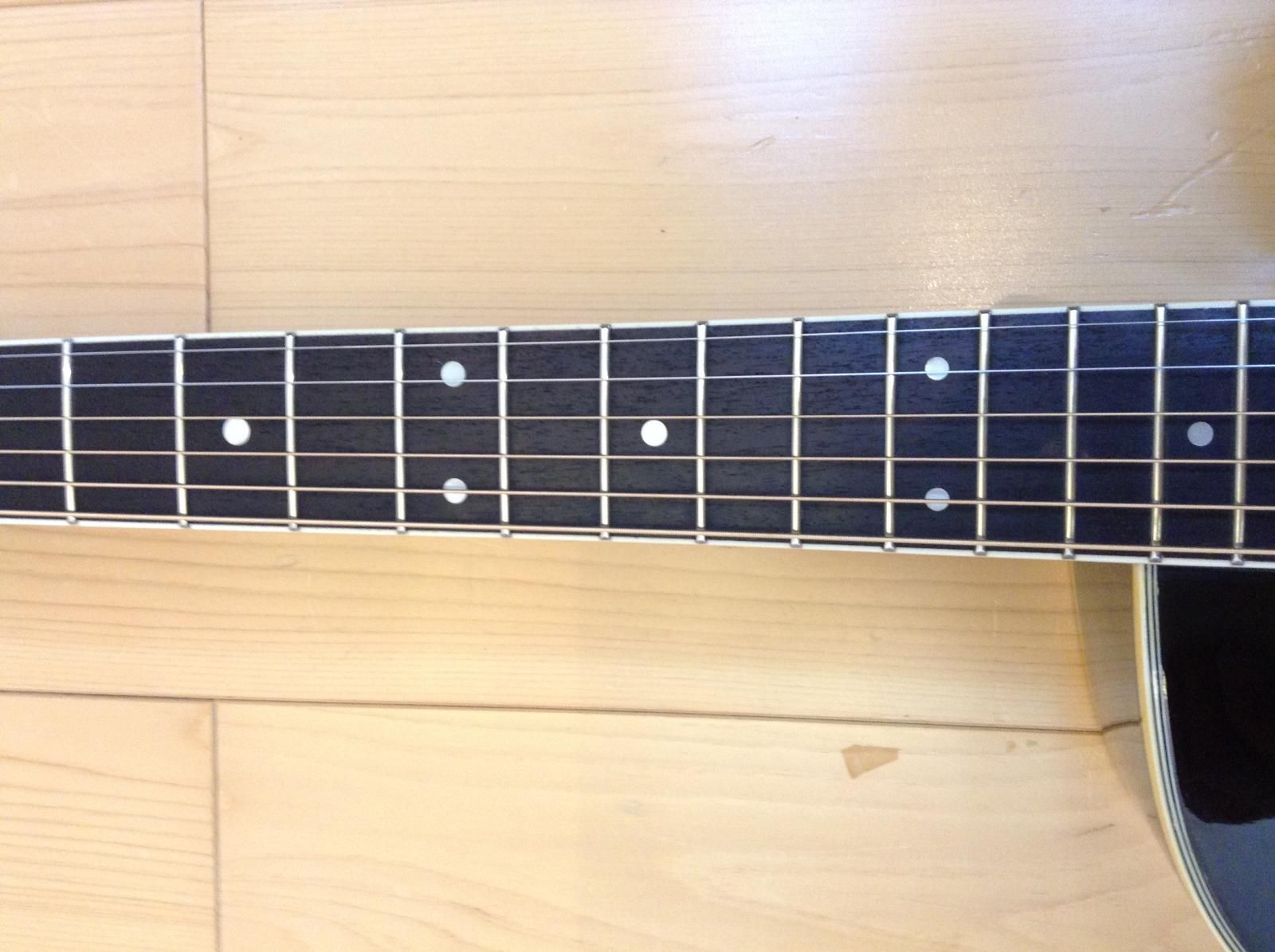 Pro Martin/プロマーチン EA-500W エレアコ 黒 - C・I・K Custom