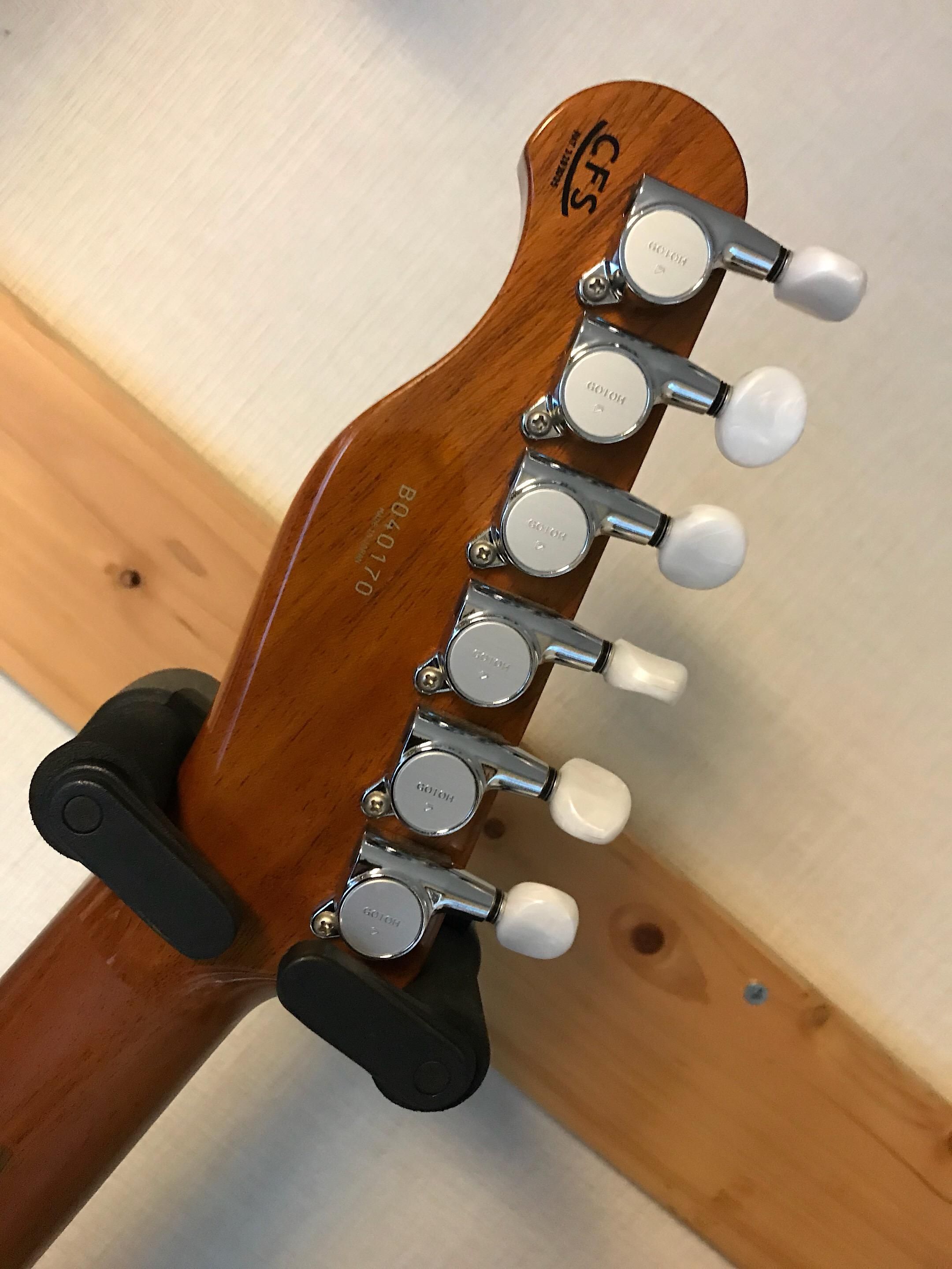 HISTORY HEG-120 フジゲン／ヒストリーのエレキ感覚のホロウエレガット