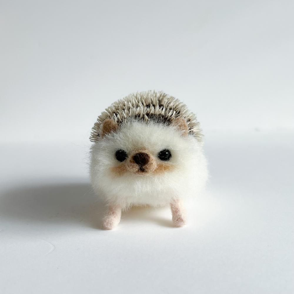 ミニハリネズミさん