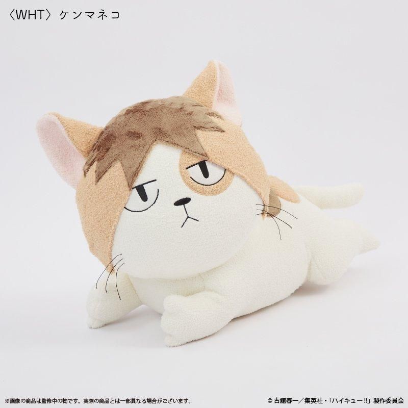 アニメ「ハイキュー!!」 クッション