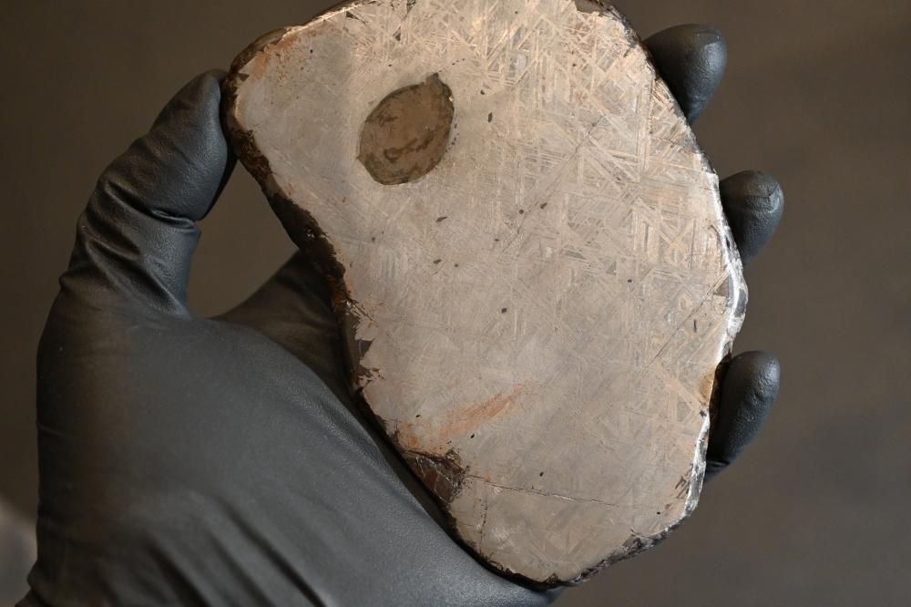 ムオニオナルスタ隕石（Muonionalusta meteorite）