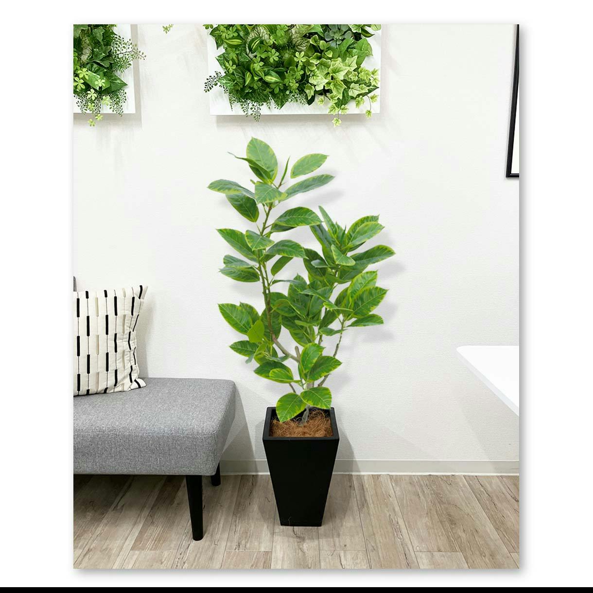 GREEN COFFRET アルテシマ120陶器鉢付・黒 人工観葉植物 フェイク