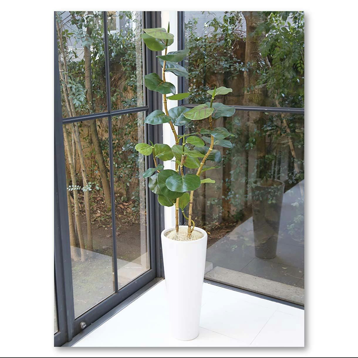 GREEN COFFRET シーグレープ125cm 人工観葉植物 フェイクグリーン