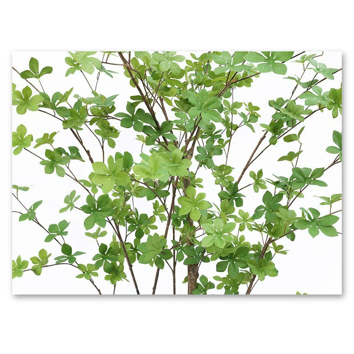 GREEN COFFRET ドウダンツツジ120cm 人工観葉植物 フェイクグリーン