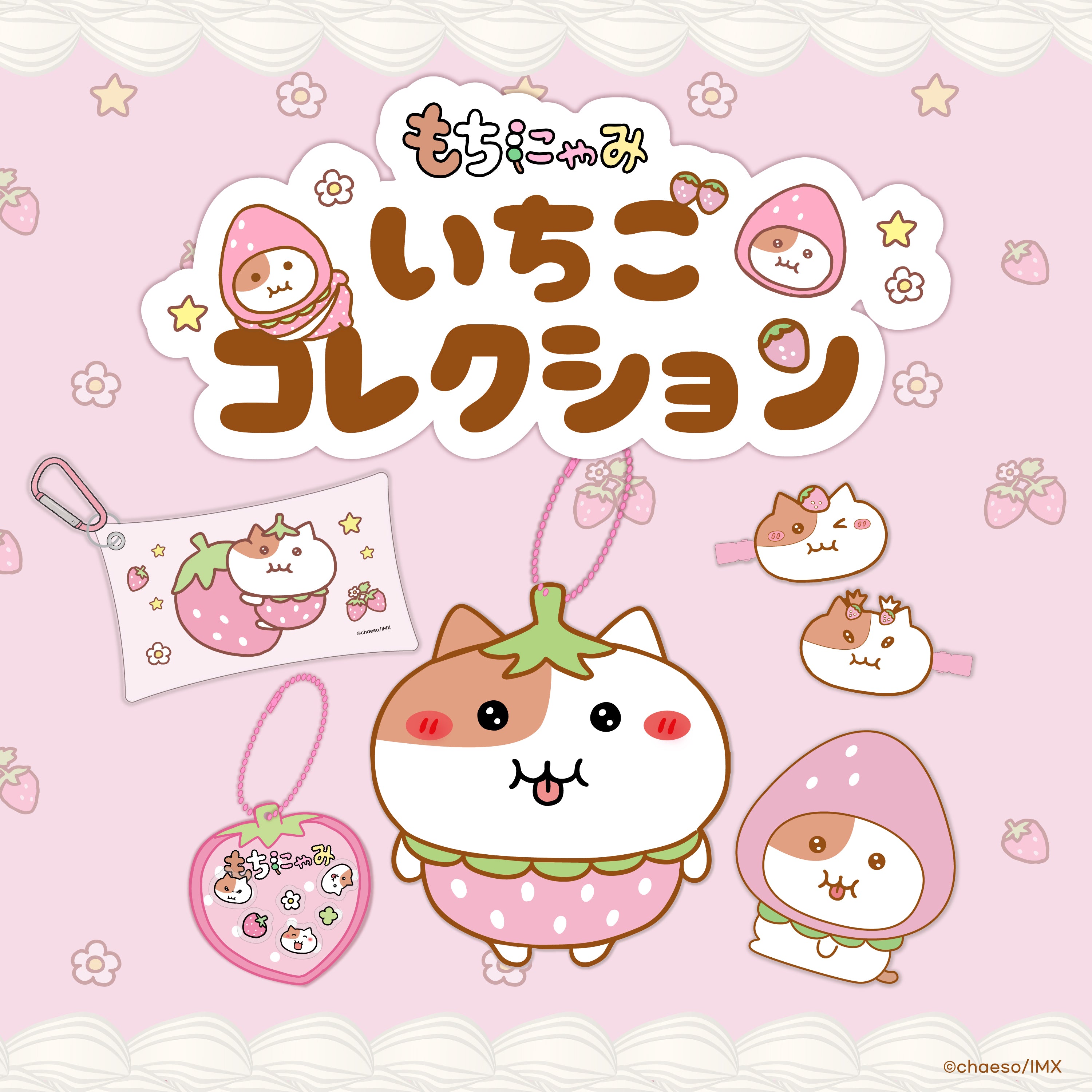 受注販売】もちにゃみいちごコレクションSET🍓 – もちにゃみ公式